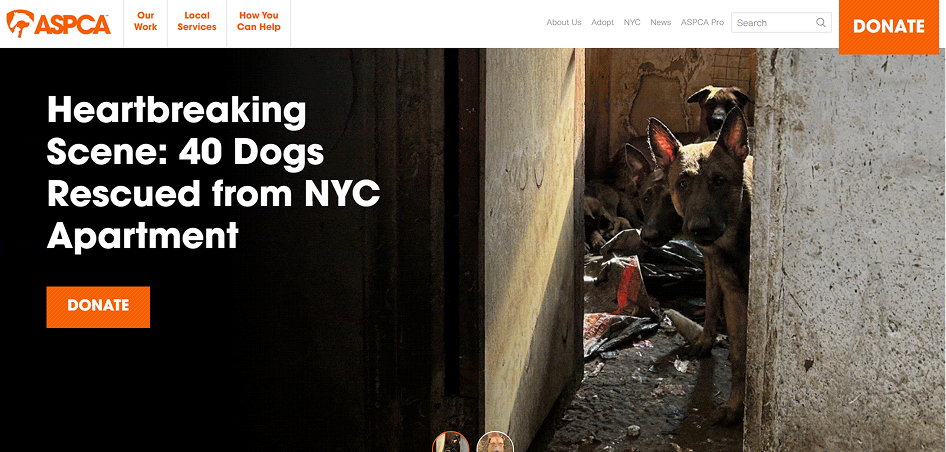 ASPCA Website Redesign