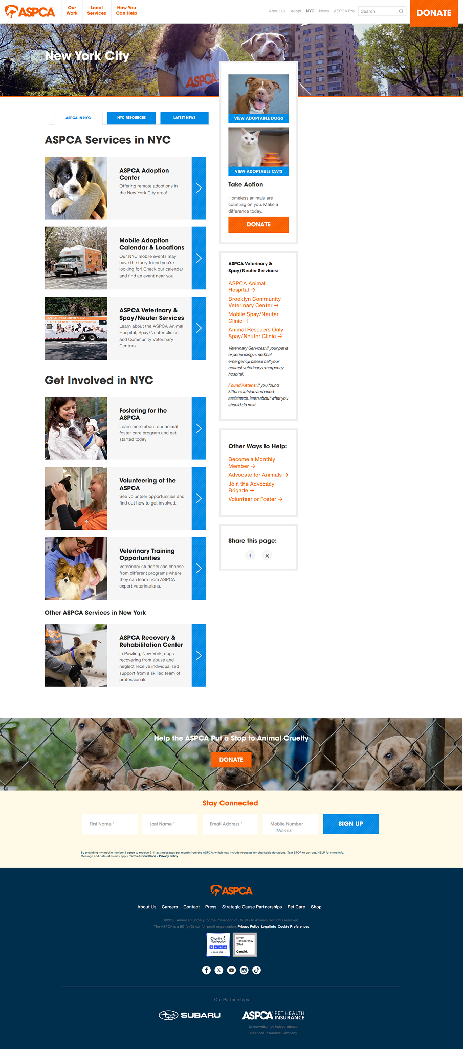 ASPCA Website Redesign screenshot 5